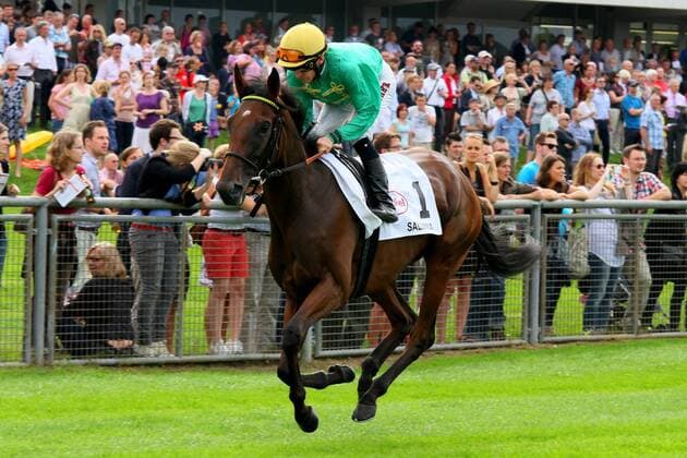 05.08.2012, Düsseldorf, Nordrhein-Westfalen, GER - Salomina mit Filip Minarik beim Aufgalopp. Galopprennbahn Düsseldorf-Grafenberg. (Pferd, Jockey, Salomina, Minarik, Aufgalopp, Düsseldorf) 930S050812DUESSELDORF