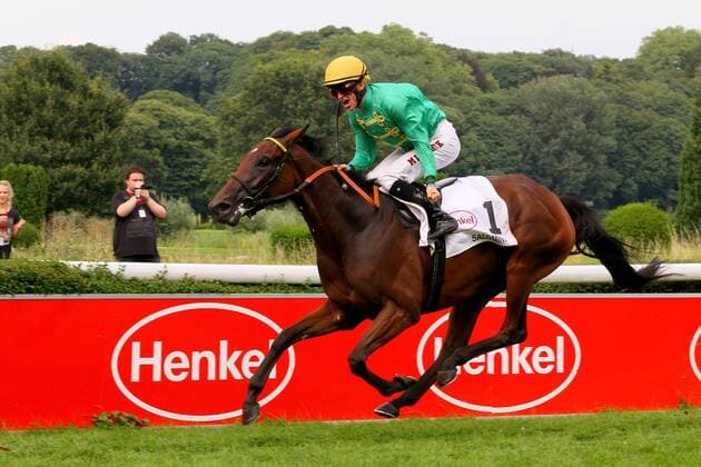 05.08.2012, Düsseldorf, Nordrhein-Westfalen, GER - Salomina mit Filip Minarik gewinnt den Preis der Diana. Galopprennbahn Düsseldorf-Grafenberg. (Pferd, Jockey, Salomina, Minarik, Sieg, Ziel, Zielankunft, Düsseldorf) 940S050812DUESSELDORF