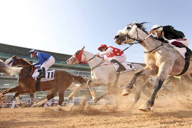30 03 2019 Dubai UAE Horses and jockeys during the Dubai Kahayla Classic Meydan racecourse Horses Jockeys Pulk Arabian race Sand Sand track Sand track Dirt Dirttrack Frog perspective 190330D522DUBAI MEYDAN JPG