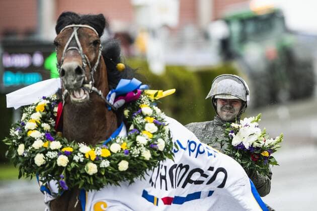 190526 Björn Karlsson with the horse Tangen Haap rejoices after race 5 during Elitloppet on May 26, 2019 in Stockholm,  Copyright: JONATHANxNÄCKSTRAND BB190526JN044