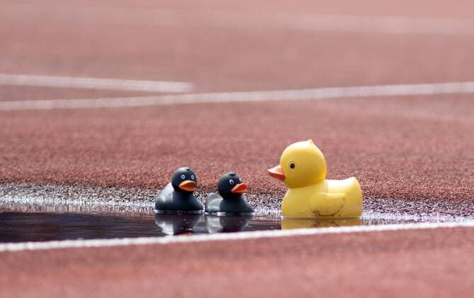 German Youth Championships Ulm, 26 07 2019 Impression Duck family in the moat German Youth Championships on 26 07 2019 in the Donaustadion in Ulm Baden Wuerttemberg Copyright: xBEAUTIFULxSPORTS R.xSchmittx