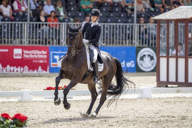 Münster Tournament of Winners 2019, BACHMANN Carina GER , Tarantino5 Münster Tournament of Winners 2019 PRIZE OF KAPPEL HIBERNIA GmbH Co KG Grand Prix de Dressage Scoring to MEGGLE Champion of Honour 01 August 2019 Â©