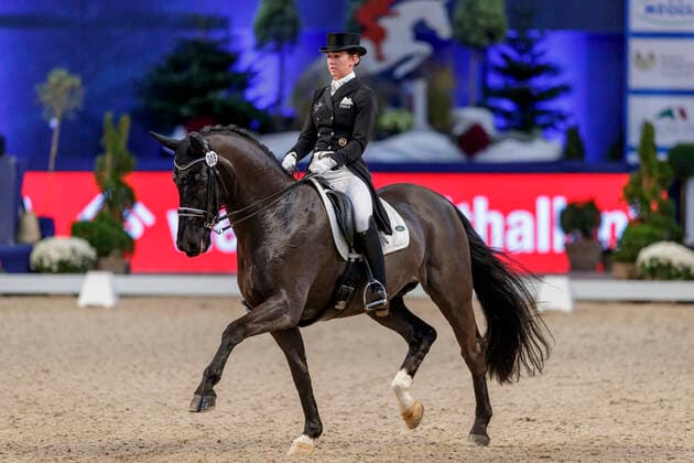 Munich Munich Indoors 2019, MÜLLER Lisa GER , Birkhof s Dave FBW Munich Munich Indoors 2019 Prize of the Liselott and Klaus Rheinberger Foundation Grand Prix de Dressage CDI4 Special MEGGLE Champions of Honour, Qualification for Free Dance 21 November 2019 Â©