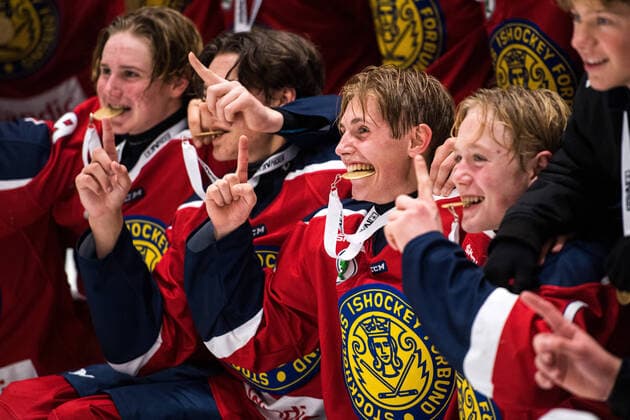 201101 Stockholm Nords players cheer after the final in the TV puck between Stockholm Nord and Västerbotten on 1 November 2020 in Umea,  Copyright: ERIKxMARTENSSON BB201101BB540