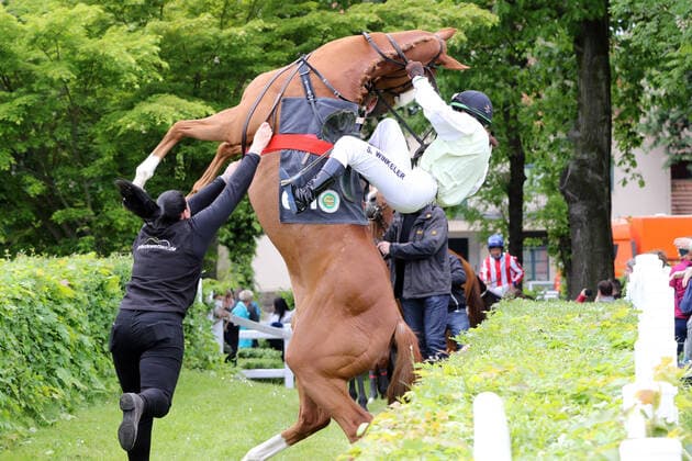 29 05 2021, Dresden, Saxony, GER Waldenser rises with Sarah Winkeler on the way to the Gelaeuf Both remain unhurt Galopprennbahn Dresden Seidnitz horse, jockey, Waldenser, Winkeler, rise, rise, build up, danger, dangerous, accident danger, injury danger 210529D505DRESDEN JPG