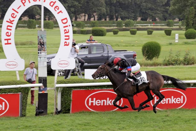 01 08 2021, Duesseldorf, North Rhine Westphalia, GER Palmas with Eduardo Pedroza wins the 163 Henkel Prize of Diana Galopprennbahn Duesseldorf Grafenberg horse, jockey, Palmas, Pedroza, victory, finish, finish 210801S982DUESSELDORF JPG