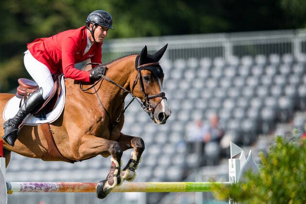 Equestrian sport: C Vier 2, the European show jumping team runner-up, has died