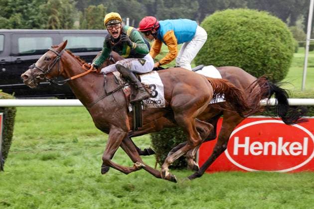 06 08 2023, Duesseldorf, North Rhine Westphalia, GER Muskoka with Lukas Delozier wins the Henkel Prize of Diana Galopprennbahn Duesseldorf Grafenberg horse, jockey, Muskoka, Delozier, victory, finish, finish 230806SG895DUESSELDORF JPEG