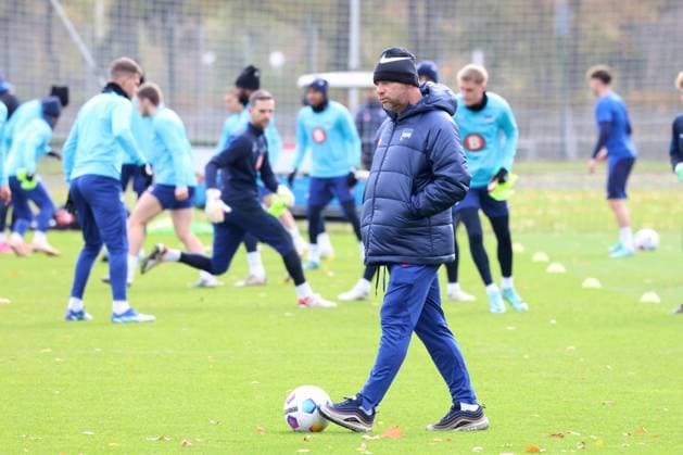 DEU, GER, LSB, portrait photo, 14 11 2023, LSB, Berlin, DEU, GER, LSB, portrait photo, in the picture head coach Pal Dardai Hertha BSC Berlin photo Juergen Engler nordphoto GmbH nordphotoxGmbHx xEngler nph00076