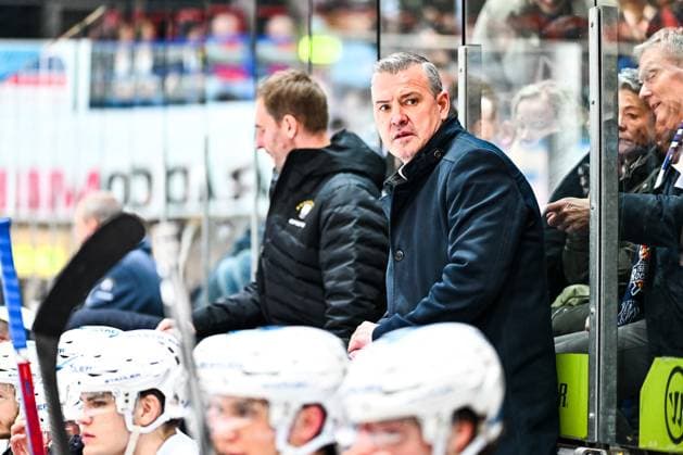Serge Aubin Head Coach, Headcoach, Eisbaeren Berlin GER, Iserlohn Roosters vs Eisbaeren Berlin, Ice Hockey, Penny DEL, Matchday 27, Season 2023 2024, 15 12 2023, GER, Iserlohn Roosters vs Eisbaeren Berlin, Ice Hockey, Penny DEL, Matchday 27, Season 2023 2024, 15 12 2023 Iserlohn Copyright: xJonasxBrockmann Eibner-Pressefotx EP_JBN