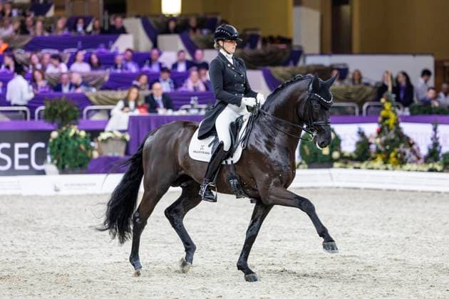 FRANKFURT 50 Jahre Internationales Festhallen Reitturnier 2023, FRANKFURT 50 Jahre Internationales Festhallen Reitturnier 2023 RICHTER Leonie GER , Lord Europe NÜRNBERGER BURG POKAL der Dressurreiter 2023 Finale 2023 Nat St Georg Special für 7 9jährige Pferde Frankfurt , Festhalle, Messe 16 December 2023