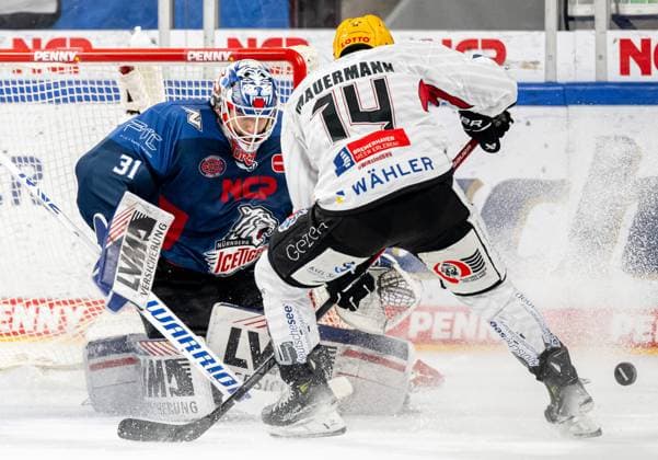 Niklas Treutle 31, Nuernberg Ice Tigers, Nuernberg Ice Tigers Ross Mauermann 14, Fischtown Pinguins Bremerhaven , Nuernberg Ice Tigers vs Fischtown Pinguins Bremerhaven, DEL, Matchday 34, 02 01 2024, Nuernberg Ice Tigers vs Fischtown Pinguins Bremerhaven, DEL, Matchday 34, 02 01 2024 Nuernberg Copyright: xEibner-Pressefotox xThomasxHahnx EP_NIT