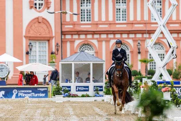 Wiesbaden, Schlosspark, Biebrich 19. May 2024 -