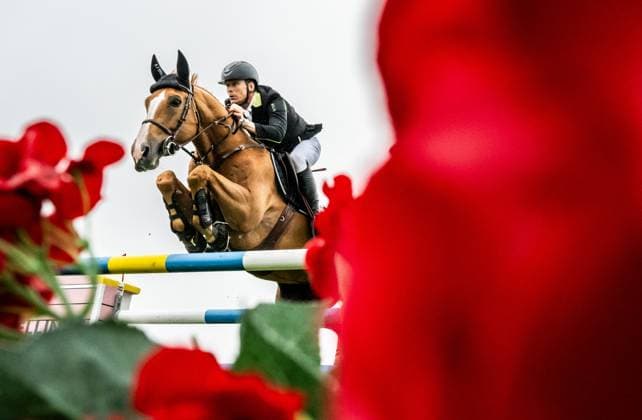 240711 Peder Fredricson of Sweden with horse Sv Vroom de La Pomme Z competes in Falsterbo Grand Prix qualification during Falsterbo Horse Show on July 11, 2024 in Falsterbo Photo Petter Arvidson BILDBYRAN kod PA PA0831 ridsport equestrian falsterbo horse show 5 bbeng falsterbo  Copyright: PETTERxARVIDSON BB240711PA006
