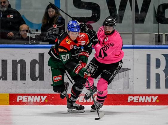 Fight for the puck duel between Alexander Oblinger Augsburger Panther, 50 and Fabio Pfohl Grizzlys Wolfsburg, 95 GER, Augsburger Panther vs Grizzlys Wolfsburg, Ice Hockey, DEL, Matchday 7, Season 2024 2025, 06 10 2024 GER, Augsburger Panther vs Grizzlys Wolfsburg, Ice Hockey, DEL, Matchday 7, Season 2024 2025, 06 10 2024 Augsburg Copyright: xEibner-Pressefoto HeikexFeinerx EP_HFR