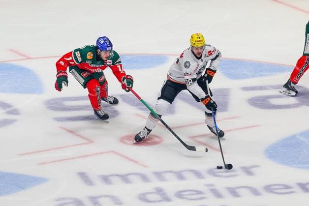 in duel, action, with D J Busdeker 14 Augsburger Panther , Dominik Bokk 78 Loewen Frankfurt , Augsburger Panther vs Loewen Frankfurt, 8 Matchday, Ice Hockey, Penny DEL, 11 10 2024 Augsburg Bayern Germany Copyright: xkolbert-press ChristianxKolbertx