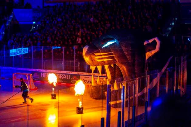 Ingolstadt, Germany October 24, 2024 Penny DEL 2024 2025 Sp 12 ERC Ingolstadt vs Eisbären Berlin In the picture Run-in show Saturn Arena Bayern Copyright: xFotostandx xSchäferx