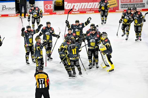 Ice Hockey DEL2 24 25 17 Matchday Krefeld Pinguine vs Kassel Huskies on 03 11 2024 at the Yayla Arena in Krefeld Krefeld players stream towards the scorer after the win in overtime extra time WD