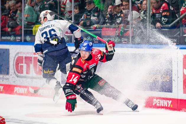 Donald Busdeker 14, Augsburger Panther in the background, Brandon Gormley 36, Iserlohn Roosters at the game Augsburger Panther v Iserlohn Roosters, Ice Hockey, Men, Penny DEL 2024 2025, Matchday 17 on 17 11 2024 in Augsburg, Curt Frenzel Stadion Bayern Germany
