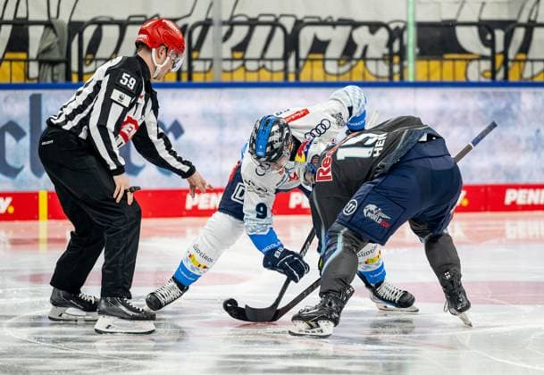 Linesperson Jonas Reinold takes a faceoff between Myles Powell ERC Ingolstadt Panther, 9 and Nikolaus Heigl EHC Red Bull Muenchen, 15 GER, EHC Red Bull Muenchen vs ERC Ingolstadt, Ice Hockey, DEL, Matchday 24, Season 2024 2025, 08 12 2024 GER, EHC Red Bull Muenchen vs ERC Ingolstadt, Ice Hockey, DEL, Matchday 24, Season 2024 2025, 08 12 2024 Muenchen Copyright: xEibner-Pressefoto HeikexFeinerx EP_HFR