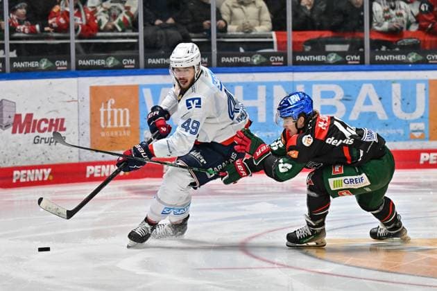 DEL Augsburger Panther Adler Mannheim 26 12 2024 in duel Lukas KAELBLE Adler Mannheim 49 and Moritz ELIAS Augsburger Panther 46 duel DEL Augsburger Panther Adler Mannheim, Curt Frenzel Stadion on 26 12 2024 Copyright: xBEAUTIFULxSPORTS Goldbergx