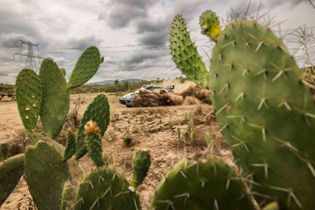 Bilder des Jahres 2025, Sport 03 März Sport Themen der Woche KW12 Sport Bilder des Tages AUTO - WRC, Motorsport Rallye, WM - SAFARI RALLY KENYA 2025 20 Oliver SOLBERG, Elliot EDMONDSON, Toyota Yaris Rally2, action during the 2025 Safari Rally Kenya, 3rd round of the 2025 WRC World Rally Car Championship, from March 20 to 23, 2025 at Nairobi, Kenya - NairobiKenya Copyright: xNikosxKatikisx