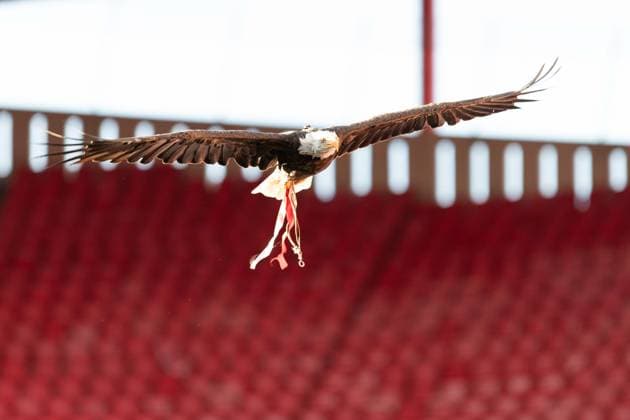 September 5, 2020, Lisbon, Lisbon, Portugal: Eagle VITORIA before the start of the friendly game between Benfica and Stade Rennes at Estadio da Luz Lisbon Portugal - ZUMAs359 20200905_zsp_s359_016 Copyright: xAlexandrexdexSousax