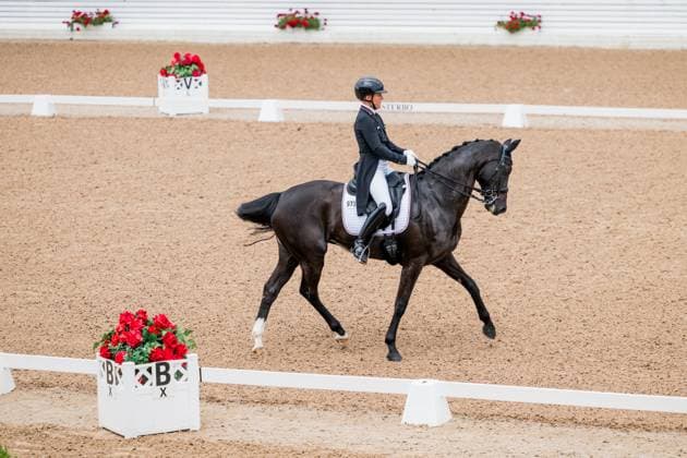 250712 Svenja Kämper Meyer of Germany with horse Amanyara M Frh competes in FEI Dressage Nations Cup Grand Prix during Falsterbo Horse Show on July 12, 2025 in Falsterbo Photo Petter Arvidson BILDBYRAN kod PA PA1057 ridsport equestrian falsterbo horse show bbeng falsterbo dressyr  Copyright: PETTERxARVIDSON BB250712PA046