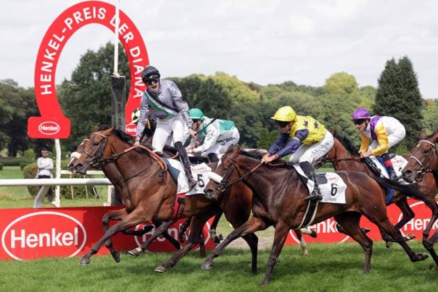 03 08 2025, Duesseldorf, Nordrhein Westfalen, GER Nicoreni with Leon Wolff wins the 167 Prize of Diana Galopprennbahn Duesseldorf Grafenberg Horse, Jockey, Nicoreni, Wolff, Victory, Finish, Finish 250803SG991DUESSELDORF JPG