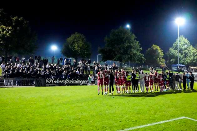 Players of SV Sandhausen SVS , cheering after the final whistle, joy about the victory, winner, winner, cheers, cheering, cheerful, positive, happy, rejoicing, optimistic, highlight, action, 09 09 2025, Zuzenhausen Germany , football, bfv Rothaus Cup, round of 16, FC Zuzenhausen SV Sandhausen xozx