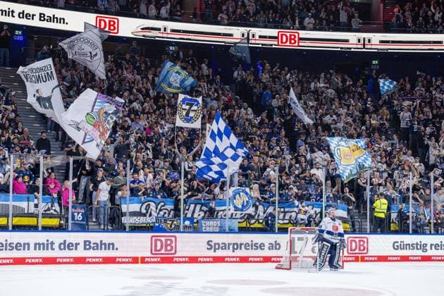 The Munich fans in the North Curve behind Hendrik Hane Goalkeeper, Iserlohn Roosters, 32 GER, EHC Red Bull Muenchen vs Iserlohn Roosters, Ice Hockey, DEL, Matchday 6, Season 2025 2026, 28 09 2025 GER, EHC Red Bull Muenchen vs Iserlohn Roosters, Ice Hockey, DEL, Matchday 6, Season 2025 2026, 28 09 2025 Muenchen Copyright: xEibner-Pressefoto HeikexFeinerx EP_HFR