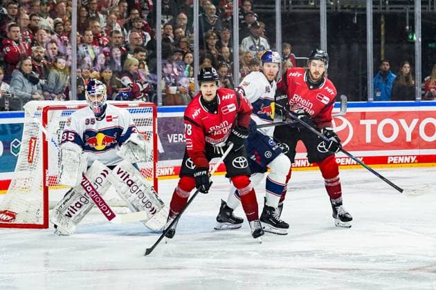 Ice Hockey Penny DEL 17 Matchday Cologne Sharks EHC Red Bull Munich on 02 11 2025 at the Lanxess Arena in Cologne f l n r , Mathias Niederberger Munich , Dominik Bokk Cologne , Dillon Heatherington Munich , Ryan Macinnis Cologne According to the regulations of the DEL German Ice Hockey League, the publication and further utilization of the recordings in electronic media and end devices of all kinds during the ongoing game is not permitted xDMx