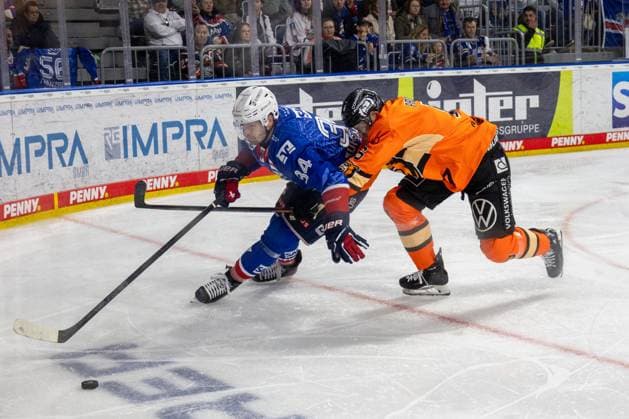 DEL, German Ice Hockey League Season 2025 26, Matchday 19 Adler Mannheim vs Grizzlys Wolfsburg Copyright: xUdoxHerrmannx