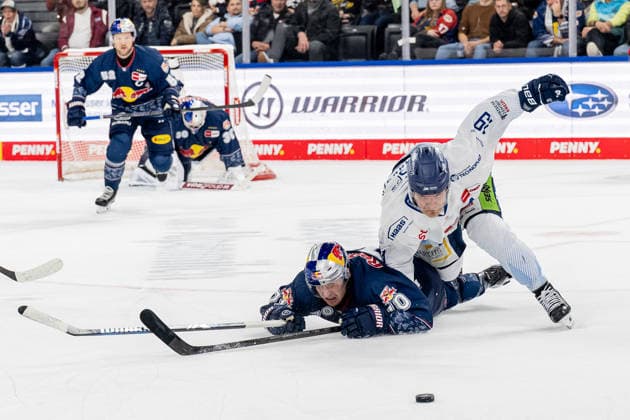 Fight for the puck duel between Maximilian Daubner EHC Red Bull Muenchen, 70 and Tim Brunnhuber Straubing Tigers, 19 GER, EHC Red Bull Muenchen vs Straubing Tigers, Ice Hockey, DEL, 22 Matchday, Season 2025 2026, 25 11 2025 GER, EHC Red Bull Muenchen vs Straubing Tigers, Ice Hockey, DEL, 22 Matchday, Season 2025 2026, 25 11 2025 Muenchen Copyright: xEibner-Pressefoto HeikexFeinerx EP_HFR