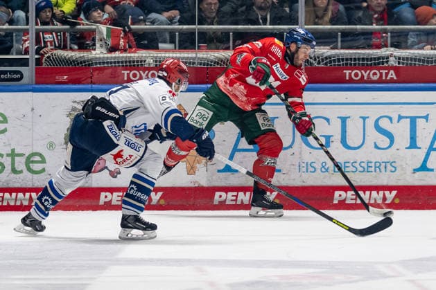 Fight for the puck duel between Felix Maegaard Scheel Schwenninger Wild Wings, 13 and Ryan Button Augsburger Panther, 55 GER, Augsburger Panther vs Schwenninger Wild Wings, Ice Hockey, DEL, 35 Matchday, Season 2025 2026, 02 01 2026 GER, Augsburger Panther vs Schwenninger Wild Wings, Ice Hockey, DEL, 35 Matchday, Season 2025 2026, 02 01 2026 Augsburg Copyright: xEibner-Pressefoto FranzxFeinerx EP_HFR
