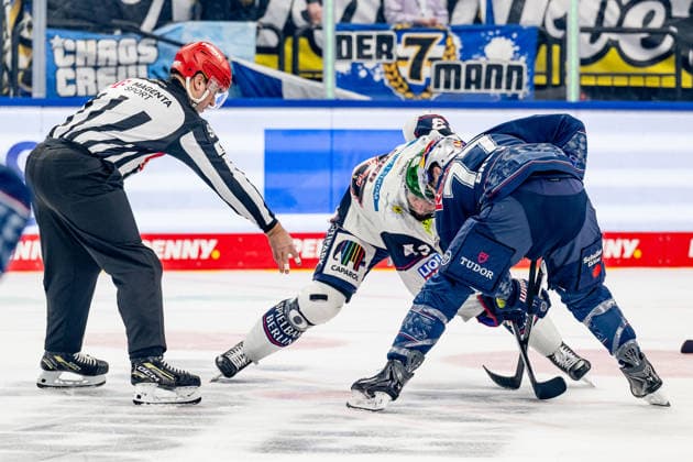 Linesperson Maksim Cepik executes a faceoff between Andreas Eder Eisbaeren Berlin, 43 and Adam Brooks EHC Red Bull Muenchen, 77 GER, EHC Red Bull Muenchen vs Eisbaeren Berlin, Ice Hockey, DEL, Matchday 37, Season 2025 2026, 06 01 2026 GER, EHC Red Bull Muenchen vs Eisbaeren Berlin, Ice Hockey, DEL, Matchday 37, Season 2025 2026, 06 01 2026 Muenchen Copyright: xEibner-Pressefoto FranzxFeinerx EP_HFR