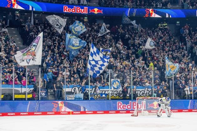 The Munich fans in the North Curve behind Jonas Stettmer Goalkeeper, Eisbaeren Berlin, 1 cheer the goal for 1 0 GER, EHC Red Bull Muenchen vs Eisbaeren Berlin, Ice Hockey, DEL, Matchday 37, Season 2025 2026, 06 01 2026 GER, EHC Red Bull Muenchen vs Eisbaeren Berlin, Ice Hockey, DEL, Matchday 37, Season 2025 2026, 06 01 2026 Muenchen Copyright: xEibner-Pressefoto FranzxFeinerx EP_HFR