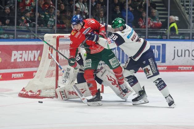 in duel, action, with Tim Wohlgemuth 33 Augsburger Panther , Yannick Veilleux 38 Eisbaeren Berlin , Augsburger Panther vs Eisbaeren Berlin, 44 Matchday, Ice Hockey, Penny DEL, 27 01 2026 Augsburg Bayern Germany Copyright: xkolbert-press DunjaxDietrichx