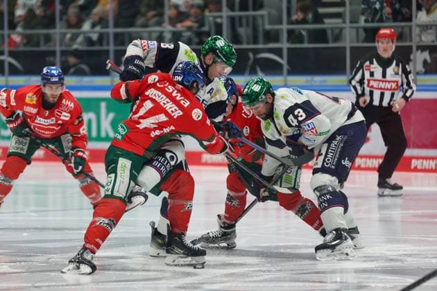 in duel, action, with D J Busdeker 14 Augsburger Panther , Andreas Eder 43 Eisbaeren Berlin , Augsburger Panther vs Eisbaeren Berlin, 44 Matchday, Ice Hockey, Penny DEL, 27 01 2026 Augsburg Bayern Germany Copyright: xkolbert-press DunjaxDietrichx