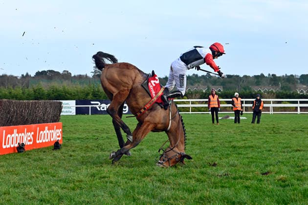 01 02 2026, Leopardstown, Dublin, IRL Jimmy du Seuil and Patrick Mullins fall at the last obstacle during the Ladbrokes Chase Both remain uninjured Leopardstown racecourse horse, jockey, Jimmy du Seuil, Mullins, obstacle, steeplechase, steeplechase, fall, fall, danger, dangerous, risk of injury 260201C609LEOPARDSTOWN JPG