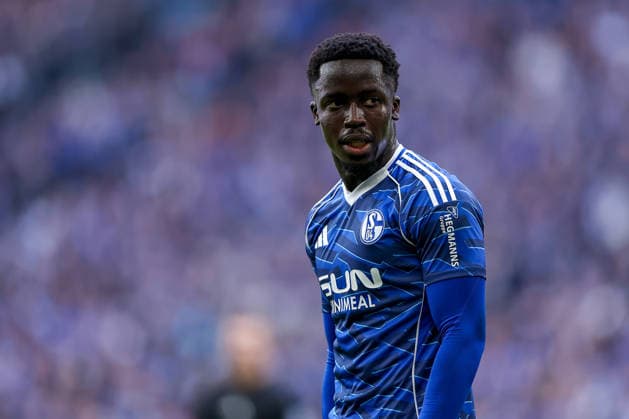 07 02 2026, Football, FC Schalke 04 SG Dynamo Dresden, 21 Matchday, 2 Soccer Bundesliga, Veltins Arena Gelsenkirchen, Season 2025 2026 Christian Pierre Louis Gomis Schalke04 07 DFB regulations prohibit any use of photographs as image sequences and or quasi video Nordrhein Westfalen Germany