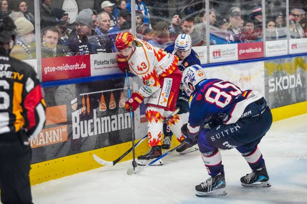 Battle for the puck duel between Phillip Sinn ESV Kaufbeuren, 43 and Fabio Sarto Ravensburg Towerstars, 9 , GER, Ravensburg Towerstars vs ESV Kaufbeuren, Ice field hockey, DEL2, 2025 2026 season, 45 Matchday, Main round, 13 02 26 GER, Ravensburg Towerstars vs ESV Kaufbeuren, Ice field hockey, DEL2, 2025 2026 season, 45 Matchday, Main round, 13 02 26 Ravenburg Copyright: xEibner-Pressefoto MaximilianxRisx EP_MRT