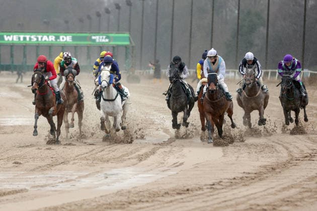 22 02 2026, Dortmund, Nordrhein Westfalen, GER Horses and jockeys in the race Dortmund Wambel racecourse Horses, jockeys, sand, sand track, sand track racing, dirt, dirt track, gallop, gallop racing, horse racing, horse racing, horse racing, double page 260222SG919DORTMUND JPG