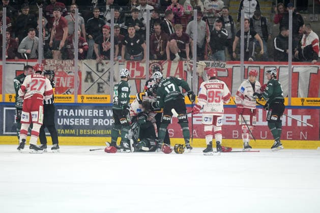 Pack formation on the ice Bietigheim Steelers vs EV Landshut, Ice Hockey, DEL 2, 49 Matchday, Season 2025 2026, 27 02 2026 Bietigheim Steelers vs EV Landshut, Ice Hockey, DEL 2, 49 Matchday, Season 2025 2026, 27 02 2026 Bietigheim Copyright: xEibner-Pressefotox EP_TBR