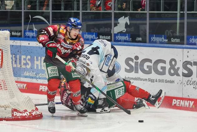 in duel, action, with Kyle Mayhew 27 Augsburger Panther , Augsburger Panther vs Dresdner Eisloewen, 49 Spieltag, Eishockey, Penny DEL, 06 03 2026 Augsburg Bayern Germany Copyright: xkolbert-press DunjaxDietrichx