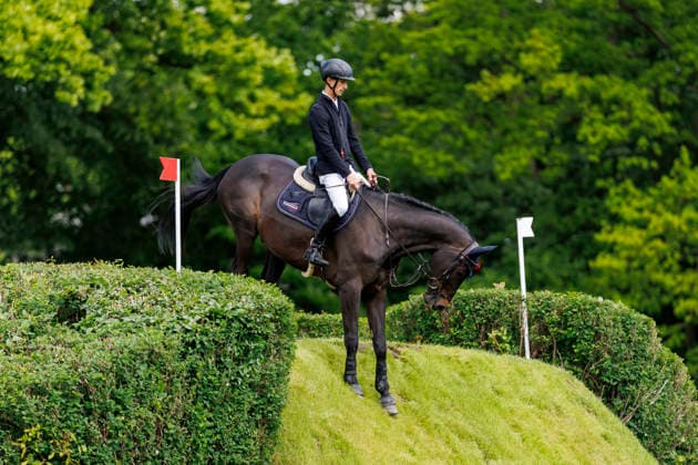 HAMBURG Al Shira aa 95 German Jumping and Dressage DERBY 2026, HAMBURG Al Shira aa 95 German Jumping and Dressage DERBY 2026 JUENGEL Marvin GER , Don Corleone Z Al Shira aa Derby Tour Dreame presents CSI4 2nd qualifier for the German Jumping Derby, Int jumping competition against the clock 1,50m Hamburg, Jenischpark, Derby Park Klein Flottbek 15 May 2026