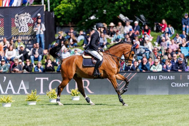 HAMBURG Al Shira aa 95 German Jumping and Dressage DERBY 2026, HAMBURG Al Shira aa 95 German Jumping and Dressage DERBY 2026 HEINEKE Simon GER , Cordillo Al Shira aa Derby Tour Dreame presents CSI4 2nd qualifier for the German Jumping Derby, Int jumping competition against the clock 1,50m Hamburg, Jenischpark, Derby Park Klein Flottbek 15 May 2026