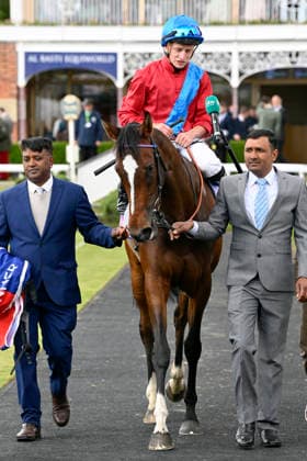 15 05 2026, York, North Yorkshire, GBR Lilt with Tom Marquand up after winning the Michael Seely Fillies Stakes York racecourse horse, jockey, Lilt, Marquand, victory 260515C978YORK JPG