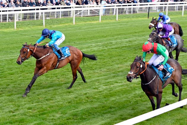 15 05 2026, York, North Yorkshire, GBR Love a Giggle with Clifford Lee up wins the Marygate Fillies Stakes York racecourse horse, jockey, Love a Giggle, Lee, win, finish, finish 260515C982YORK JPG