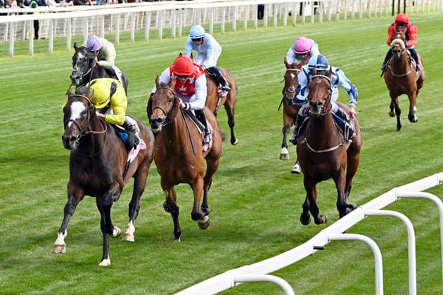 15 05 2026, York, North Yorkshire, GBR Rahiebb with Ray Dawson up wins the Yorkshire Cup York racecourse horse, jockey, Rahiebb, Dawson, win, finish, finish 260515C991YORK JPG